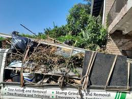 Best Construction Debris Removal  in Cannon Af, NM